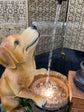 Perrito Dog with Tap Fountain Man&