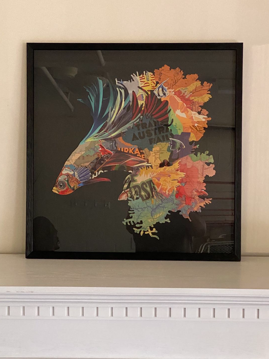 Fish Collage Art with Black PS Frame
